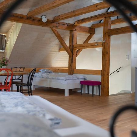 Mlyn Salajna Apartment Dolni Zandov Ngoại thất bức ảnh