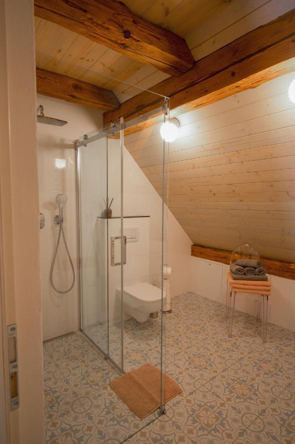 Mlyn Salajna Apartment Dolni Zandov Ngoại thất bức ảnh